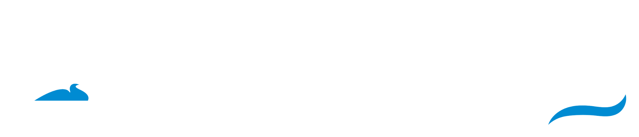 Navalshore — Feira e Conferência da Indústria Marítima